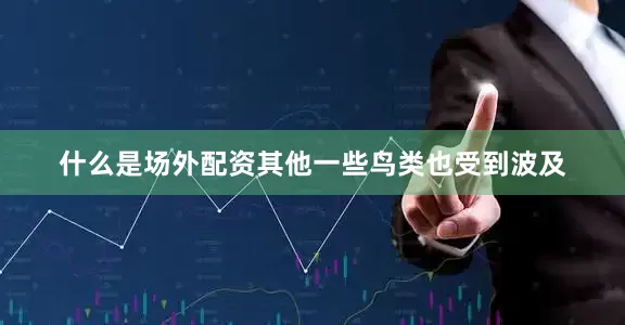 什么是场外配资其他一些鸟类也受到波及