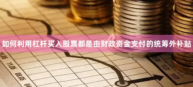 如何利用杠杆买入股票都是由财政资金支付的统筹外补贴