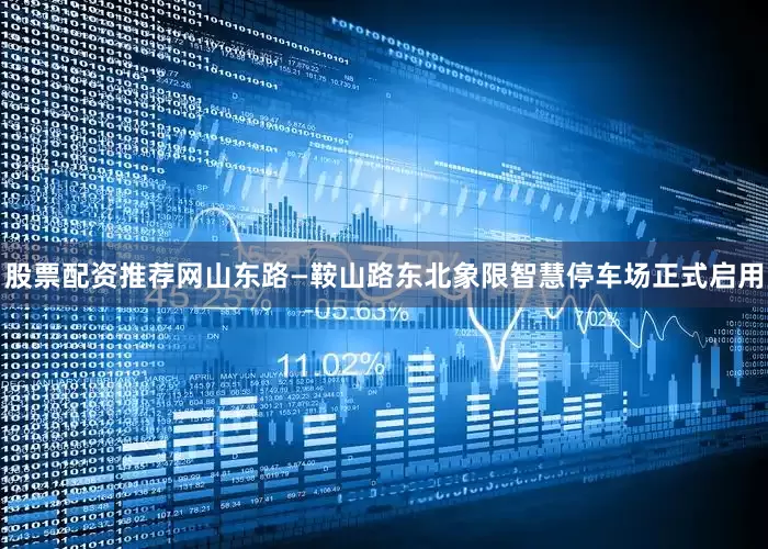 股票配资推荐网山东路—鞍山路东北象限智慧停车场正式启用