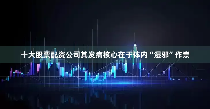 十大股票配资公司其发病核心在于体内“湿邪”作祟