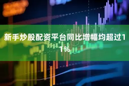新手炒股配资平台同比增幅均超过11%