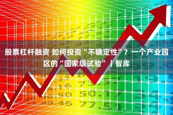 股票杠杆融资 如何投资“不确定性”？一个产业园区的“国家级试验”｜智库