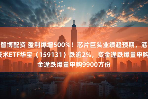 智博配资 盈利爆增500%！芯片巨头业绩超预期，港股通信息技术ETF华宝（159131）跌逾2%，资金逢跌爆量申购9900万份